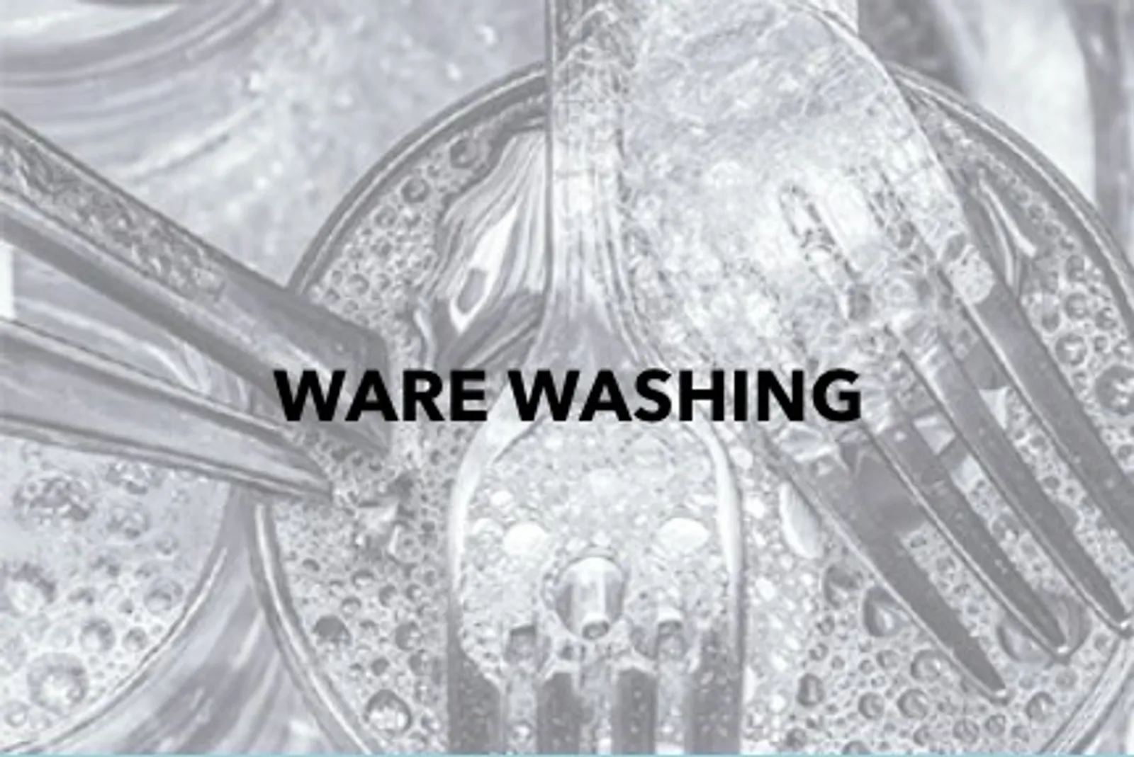 Ware Washing