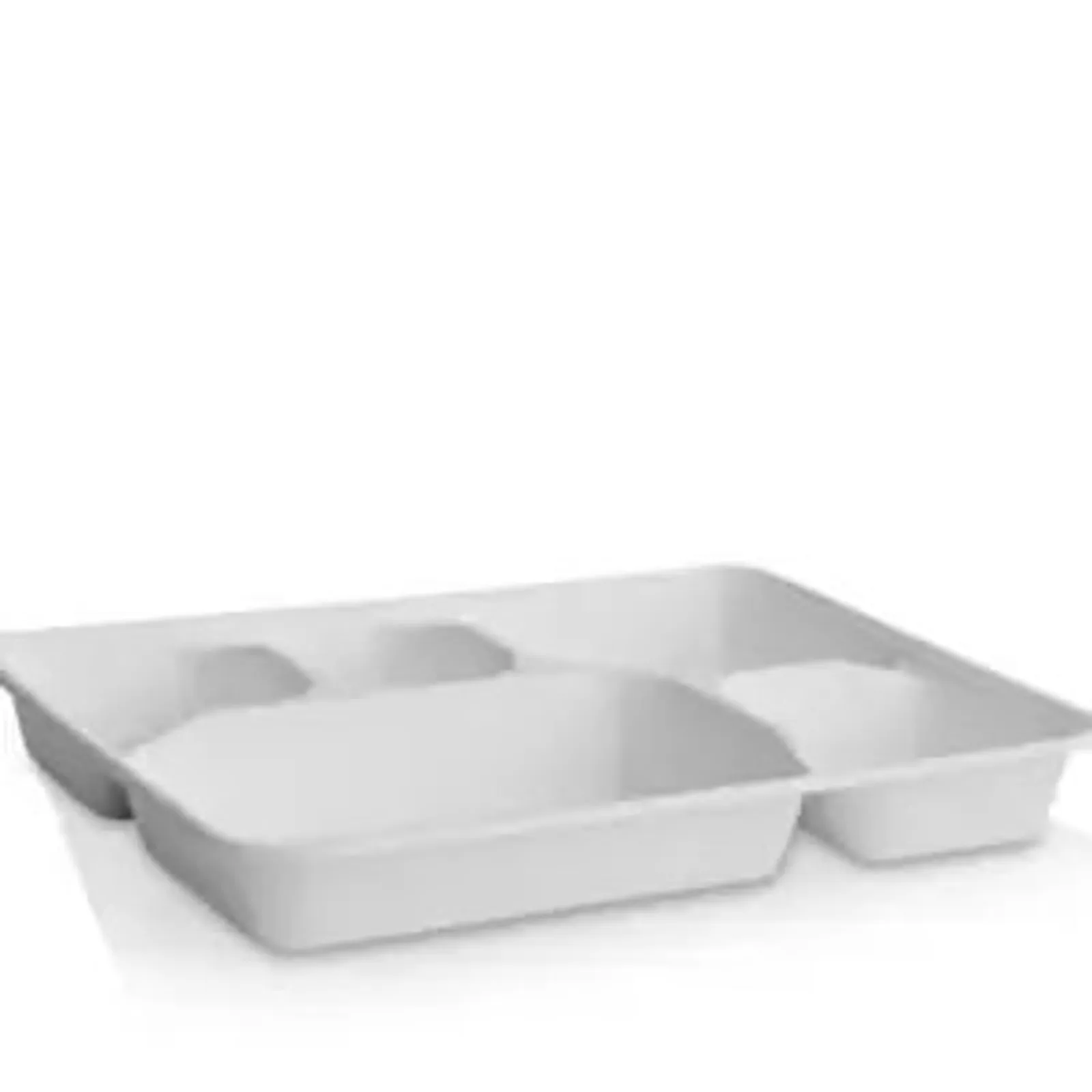 Sugarcane Compartment Trays with Lids