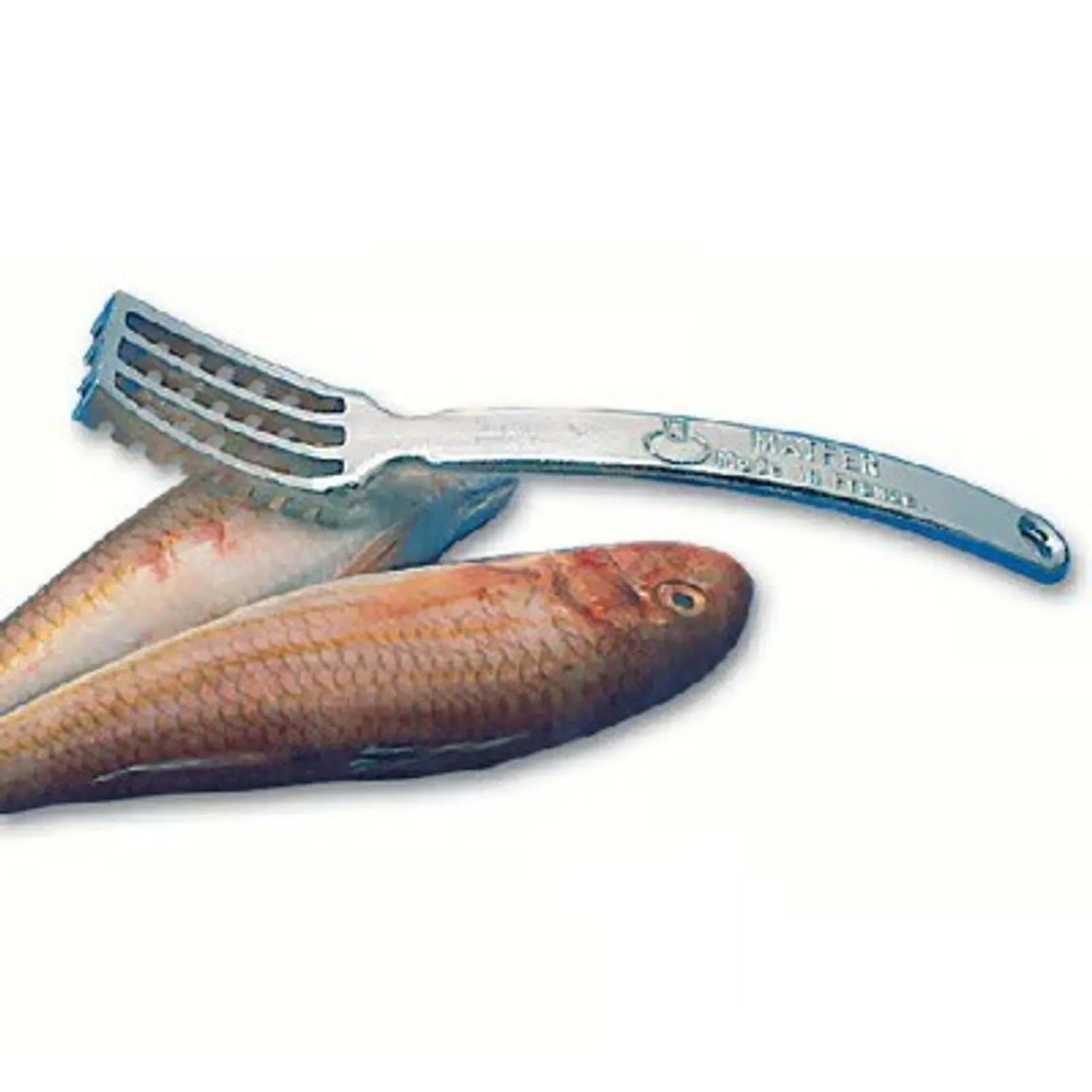 Fish Scaler