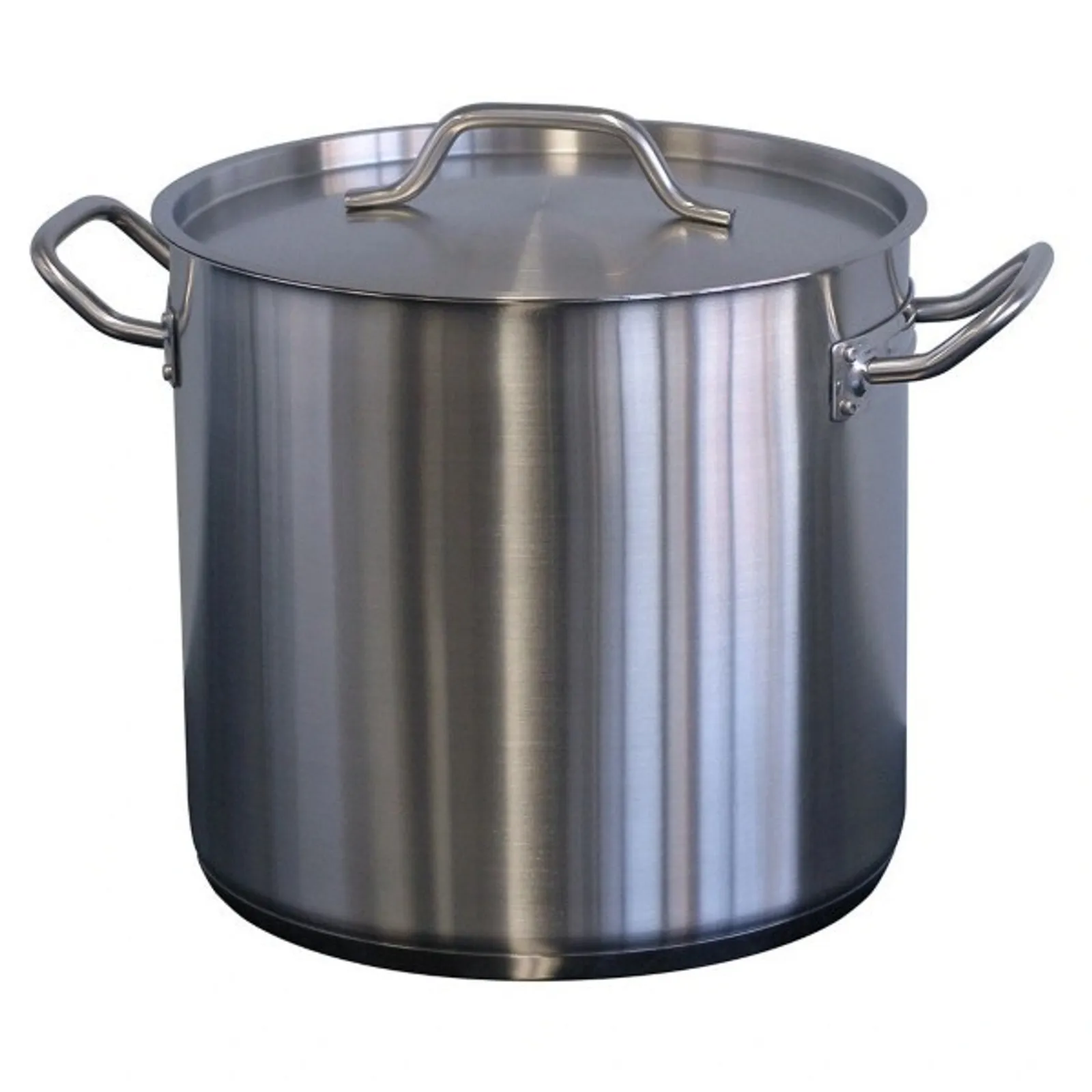 Forje WSS16 Stock Pot with Lid - 16L
