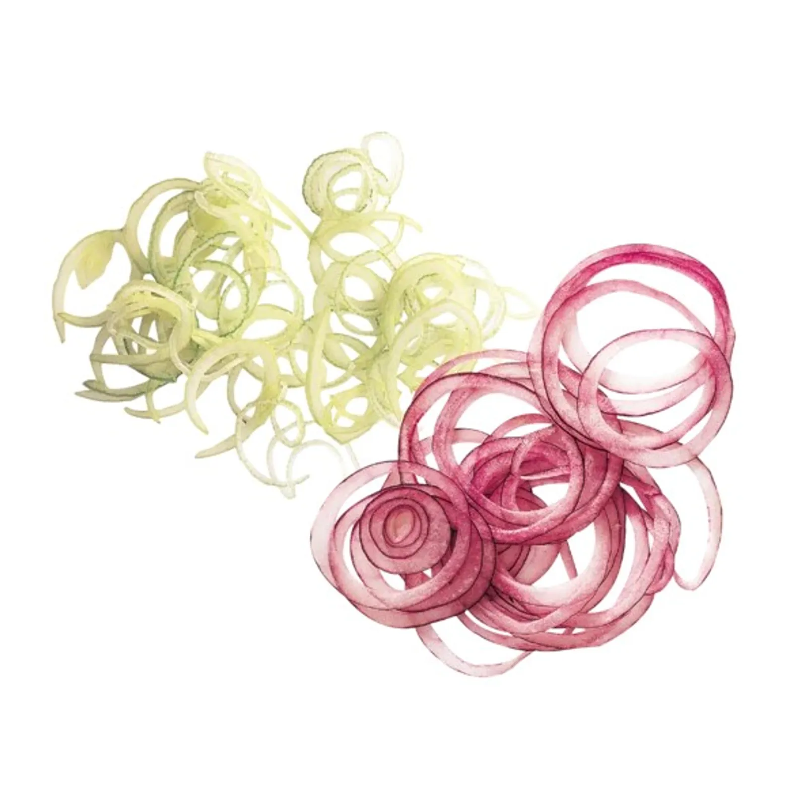 Robot Coupe 27051 - Slicer Disc 1mm suits Series 1-4