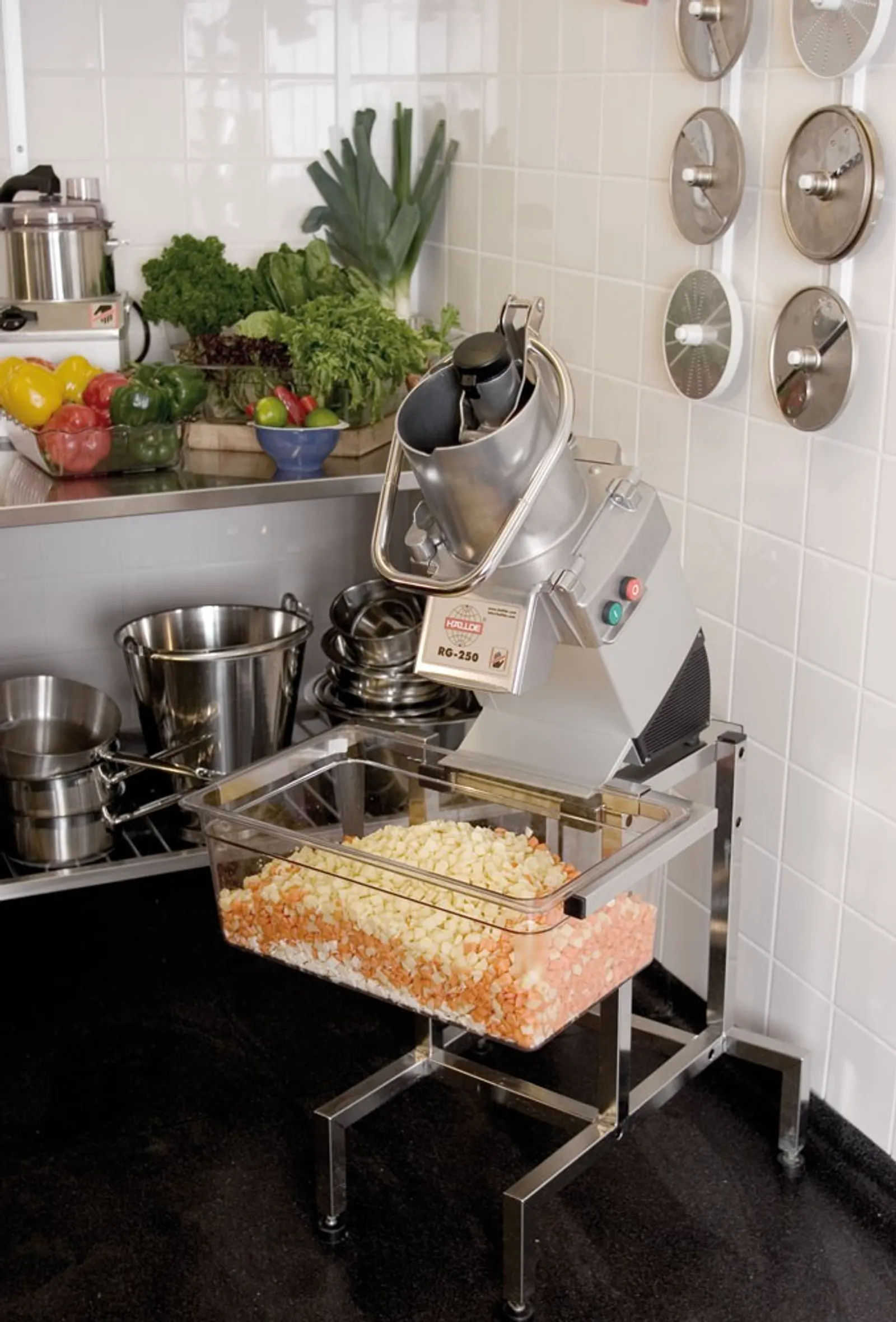 HALLDE  RG-250 Vegetable Preparation Machine
