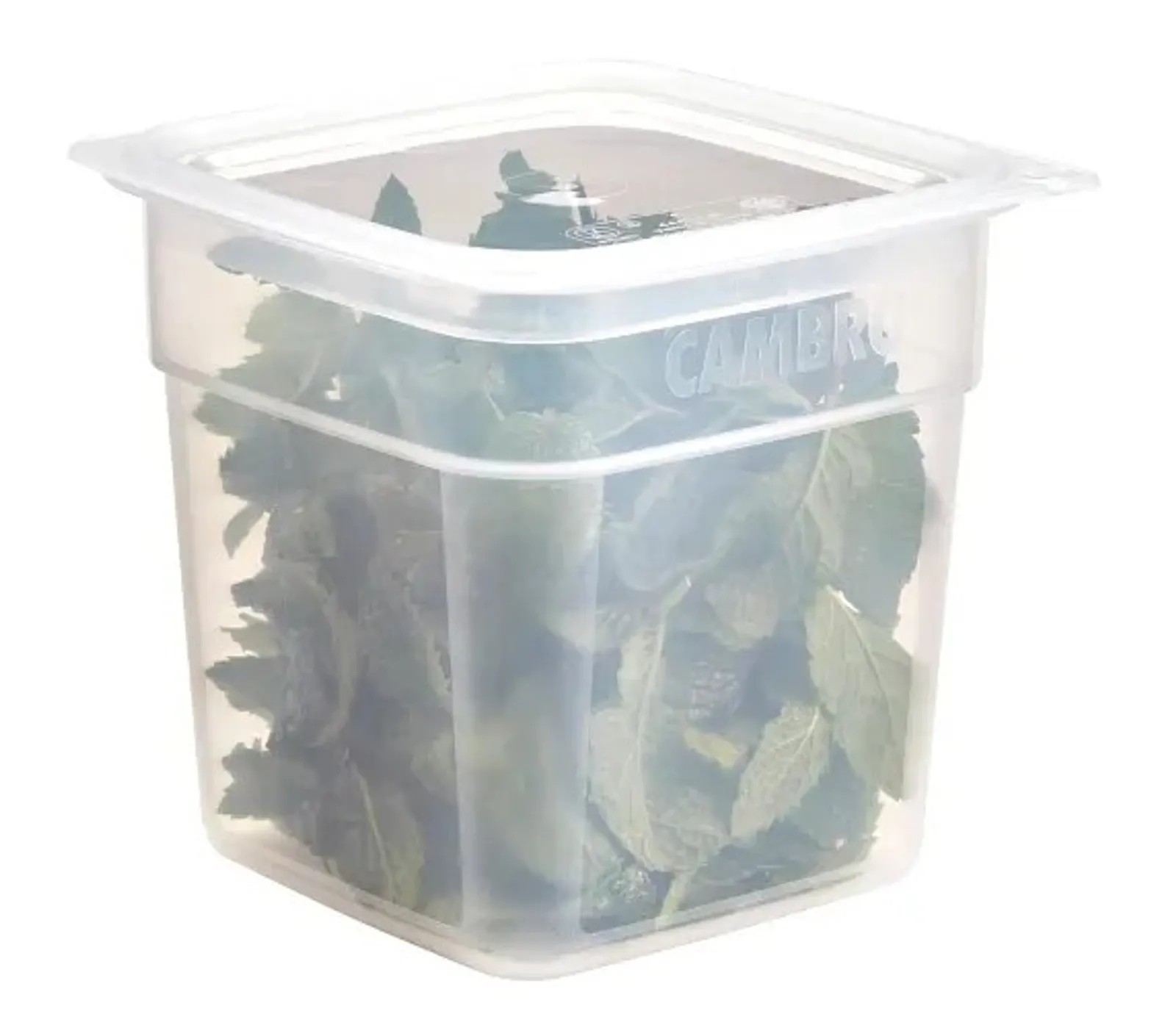 Cambro SFC1FPPP - Camsquare FreshPro Easy Seal Cover 0.5L-1L Translucent