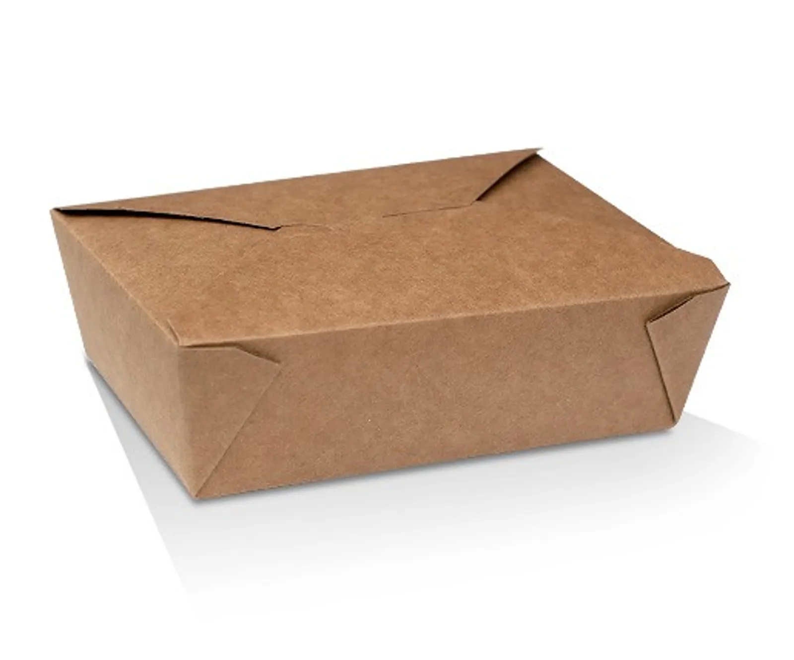 Pac Trading LB6 Lunch Box - Large (1500ml) 197 x 140 x 64mm CARTON