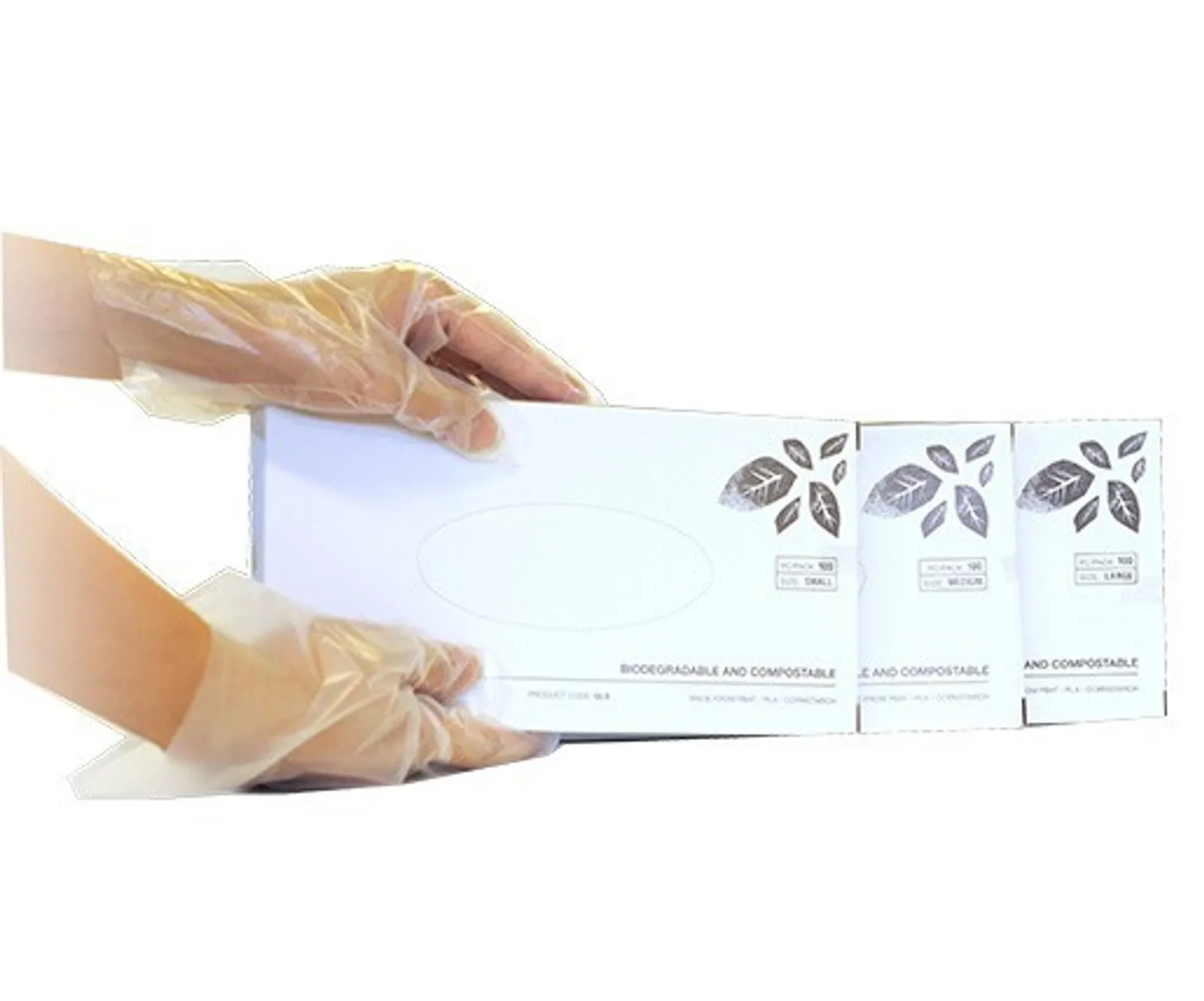 Pac Trading GLM Disposable Gloves Medium